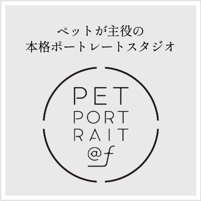 ペットが主役の本格ポートレートスタジオ PET PORTRAIT@f